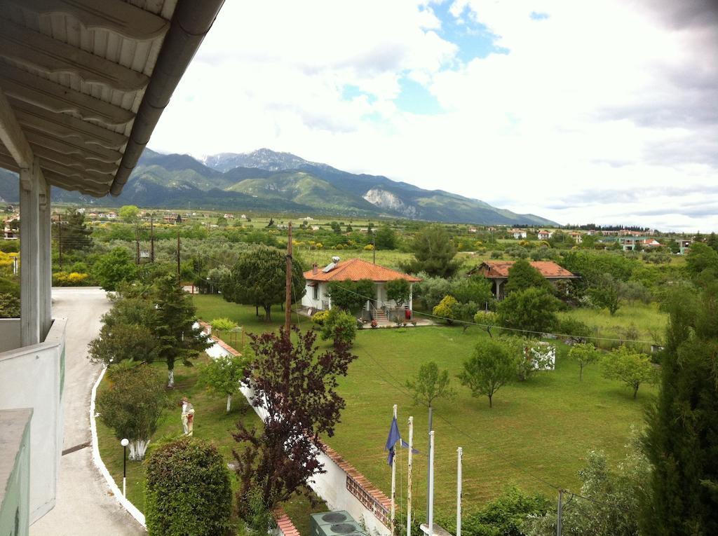 Great Alexander Hotel ปลากา ลิโตโคโร ห้อง รูปภาพ
