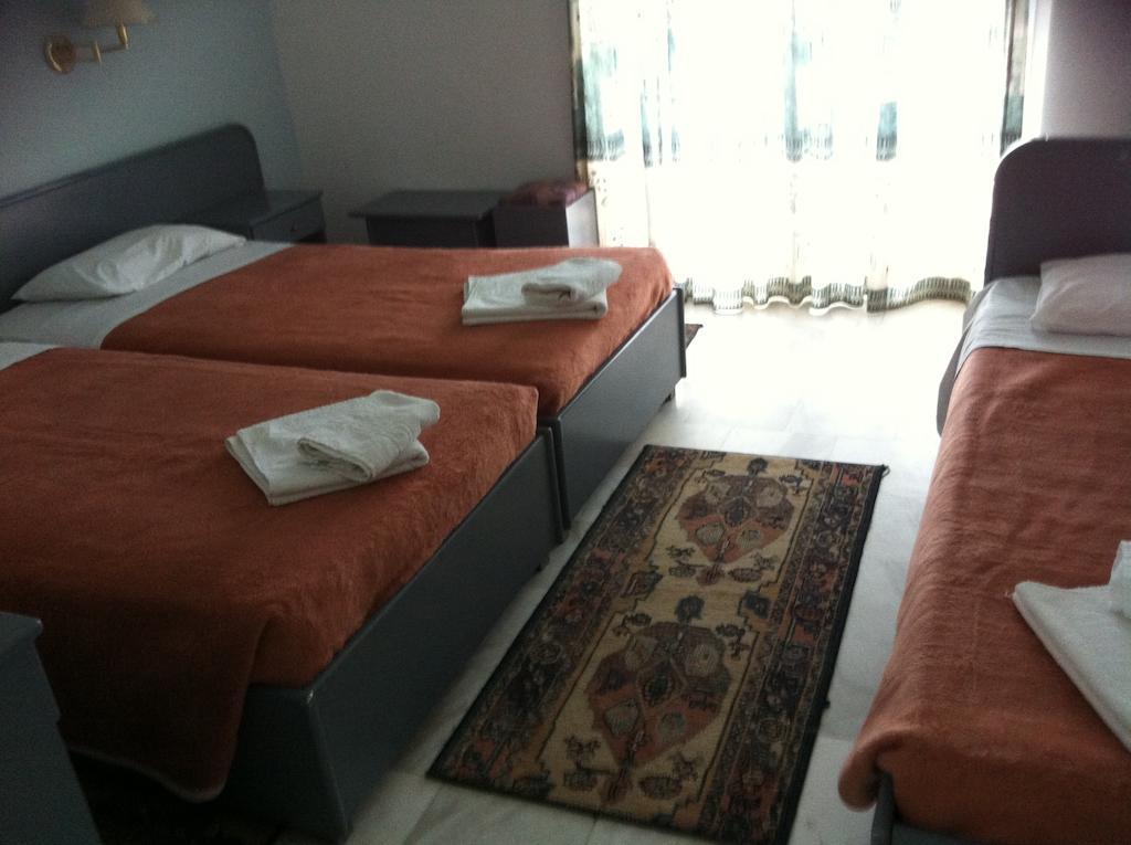 Great Alexander Hotel ปลากา ลิโตโคโร ห้อง รูปภาพ